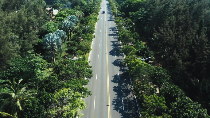 航拍海南博鳌的椰林城市道路