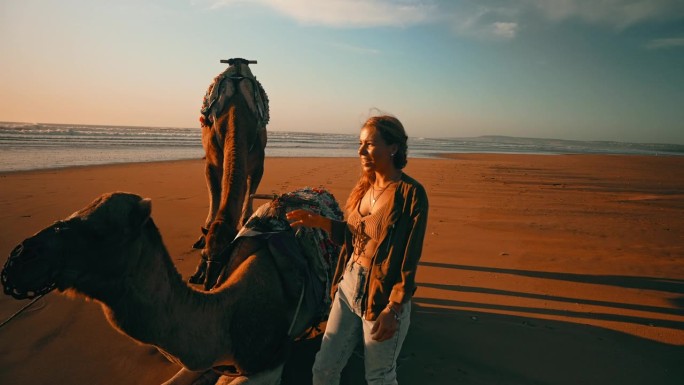 女游客在撒哈拉沙漠抚摸骆驼