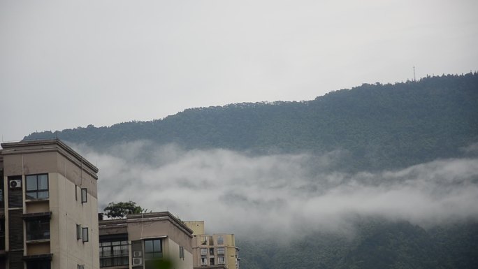 重庆北碚缙云山行走的云雾