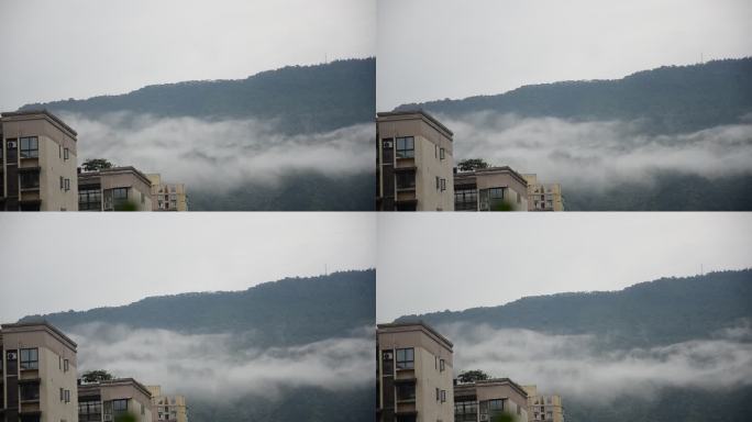 重庆北碚缙云山行走的云雾