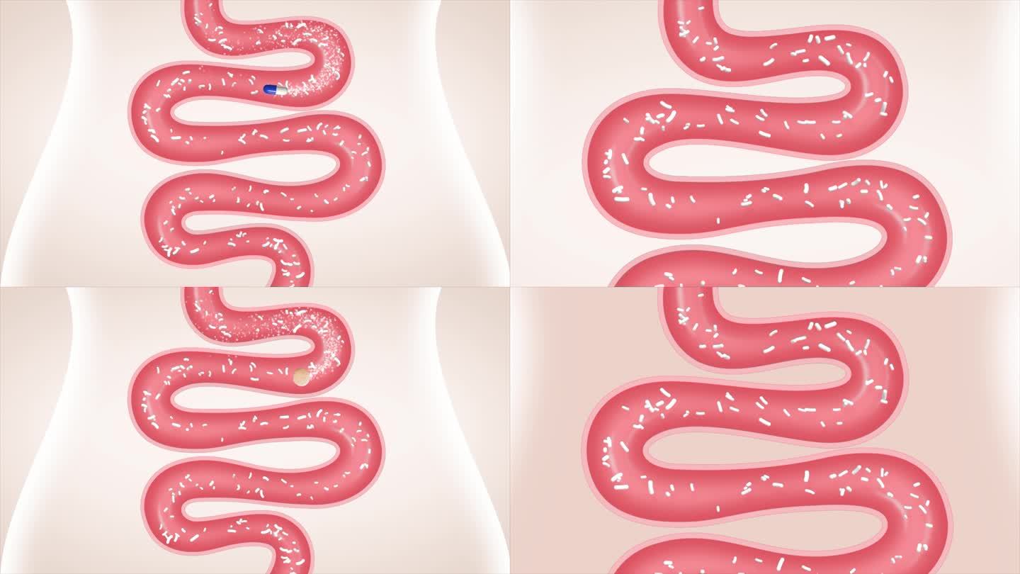 肠道视频 胃肠健康 益生菌 视频素材