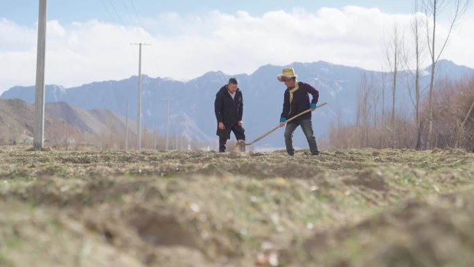 西藏乡村 农民开荒土地播种