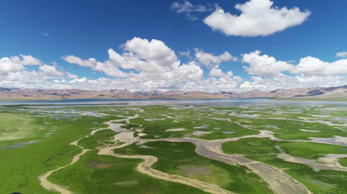 风景 风景区 保护区 生态系统 涵养水