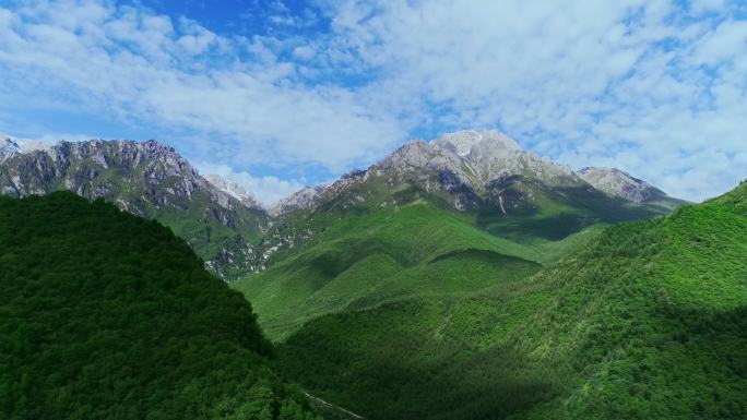 航拍茂密的植被、绿水青山