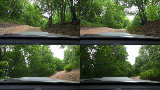 在森林里的岩石路上开车