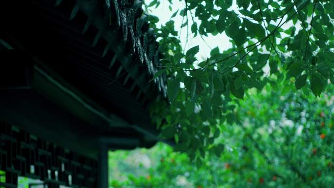 4k雨水谷雨意境屋檐雨滴滴水中式苏州园林