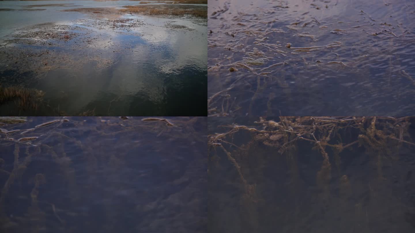 C拉鲁湿地4k实拍视频