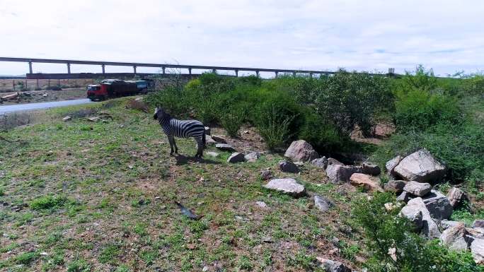 公路运输 高速行驶 铁路修建