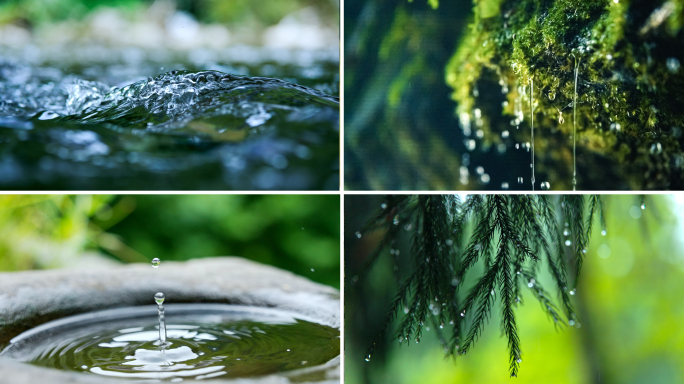 水雨水水滴森林自然河流瀑布溪水泉水植物