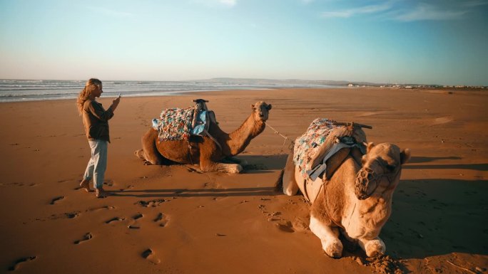 一名女游客在撒哈拉沙漠的沙滩上拍下骆驼休息的照片