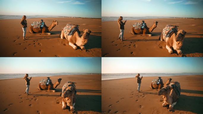 一名女游客在撒哈拉沙漠的沙滩上拍下骆驼休息的照片