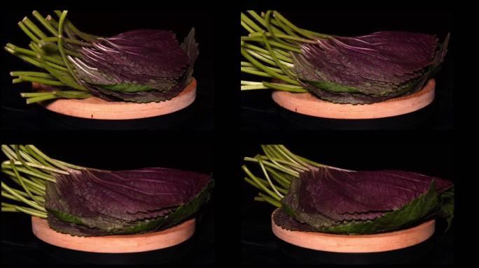 蔬菜紫苏叶 (2)