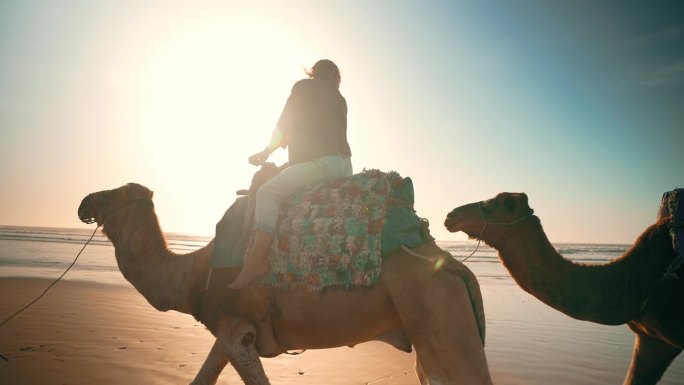 慢镜头女游客沿着海岸线骑骆驼