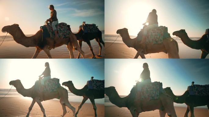 慢镜头女游客沿着海岸线骑骆驼