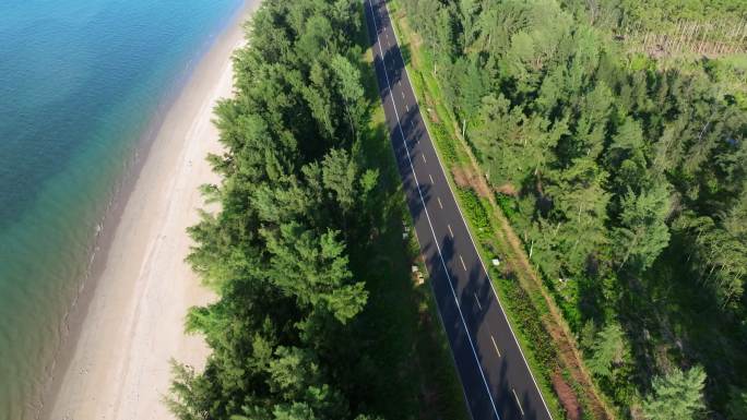 海南沿海的旅游公路