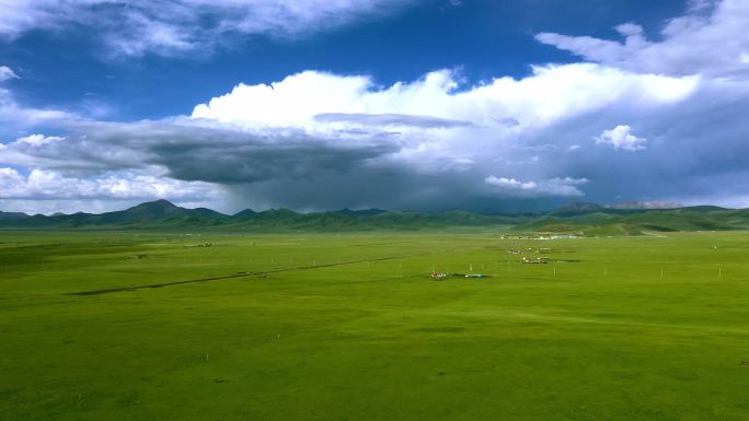 美丽的大草原、美丽的风景、水草丰茂的草地