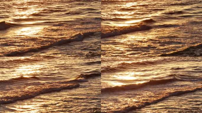 夕阳落在金色的波浪上