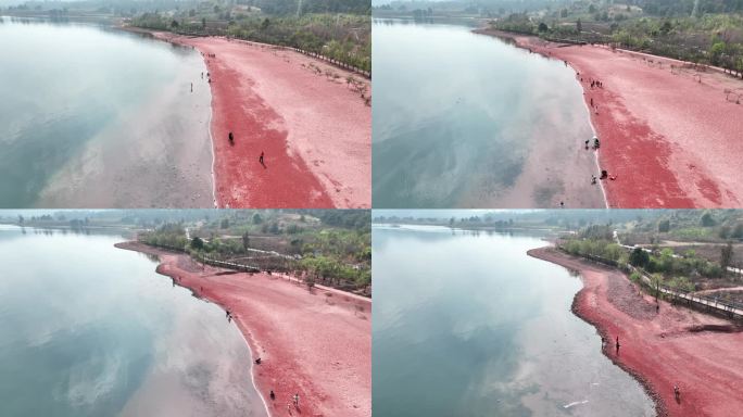 昆明澄江市抚仙湖粉红沙滩