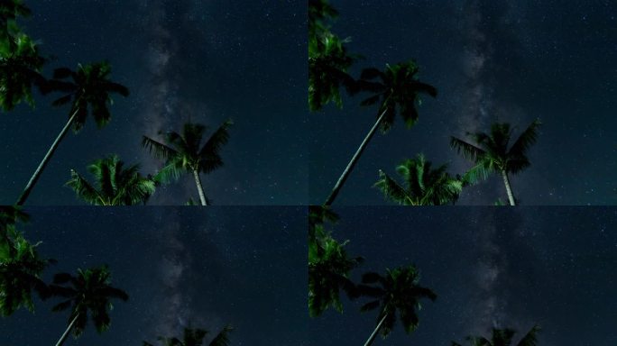 海南文昌星空银河下的椰子树