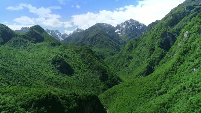 航拍绿水青山、茂密的植被、原始森林