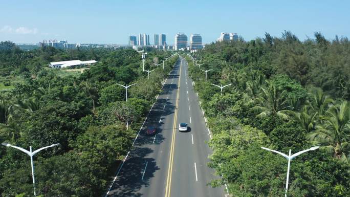 航拍海南博鳌的椰林城市道路
