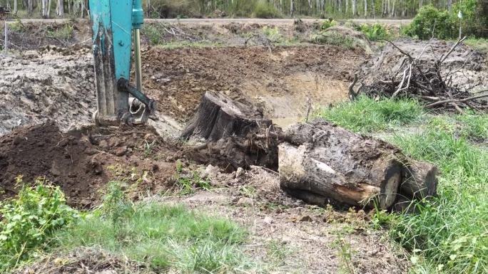 Makro挖树，挖树桩来调整地面以填满花园。摄于2023年6月7日，泰国Chokchai Nakho