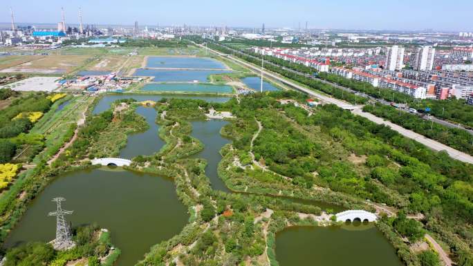 湿地 地理 风光 树林 河流 房屋