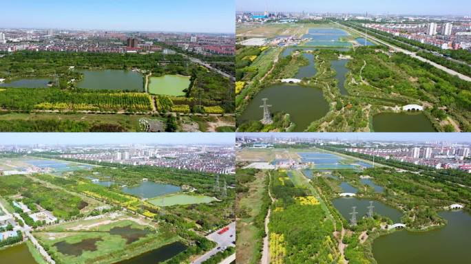 湿地 地理 风光 树林 河流 房屋