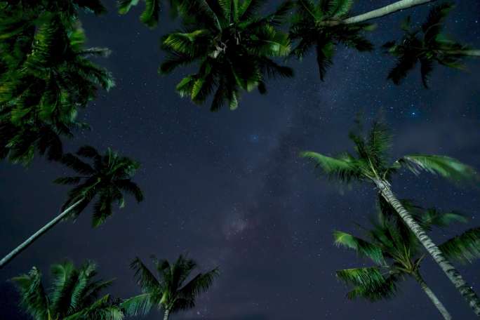 海南文昌星空银河下的椰子树