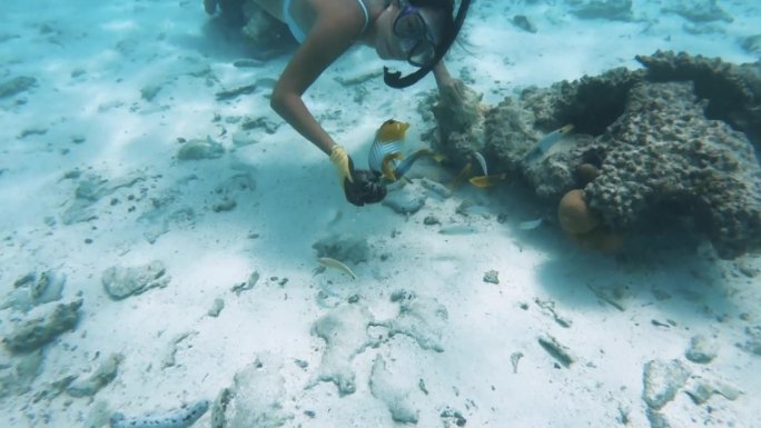 亚洲晒黑的皮肤女女孩女人穿着比基尼面罩呼吸管屏住呼吸和海胆在水下喂养海鱼蝴蝶鱼石灰绿色日落濑鱼绿松石