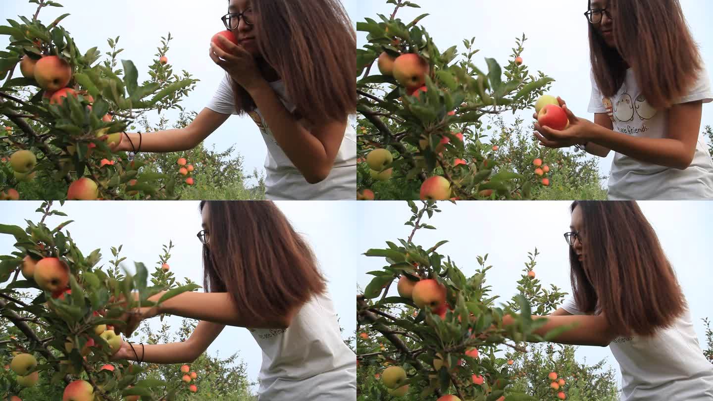 农村妇女摘桃子