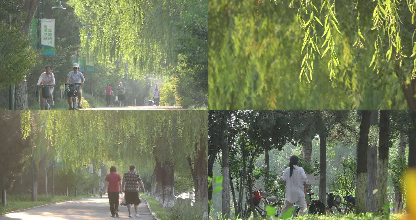 河边公园绿色家园生态城市健身骑行跑步