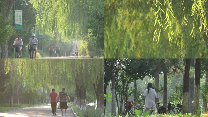 河边公园绿色家园生态城市健身骑行跑步