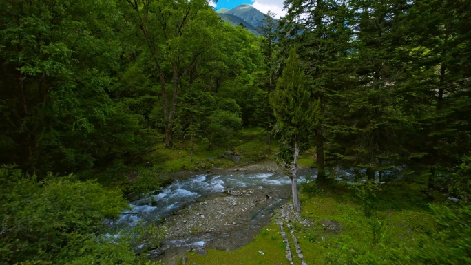 小溪流