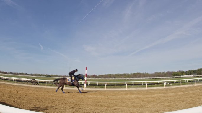 一名骑师在训练中吹拂一匹纯种马的超广角镜头