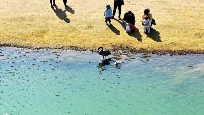 南京栖霞仙林湖航拍