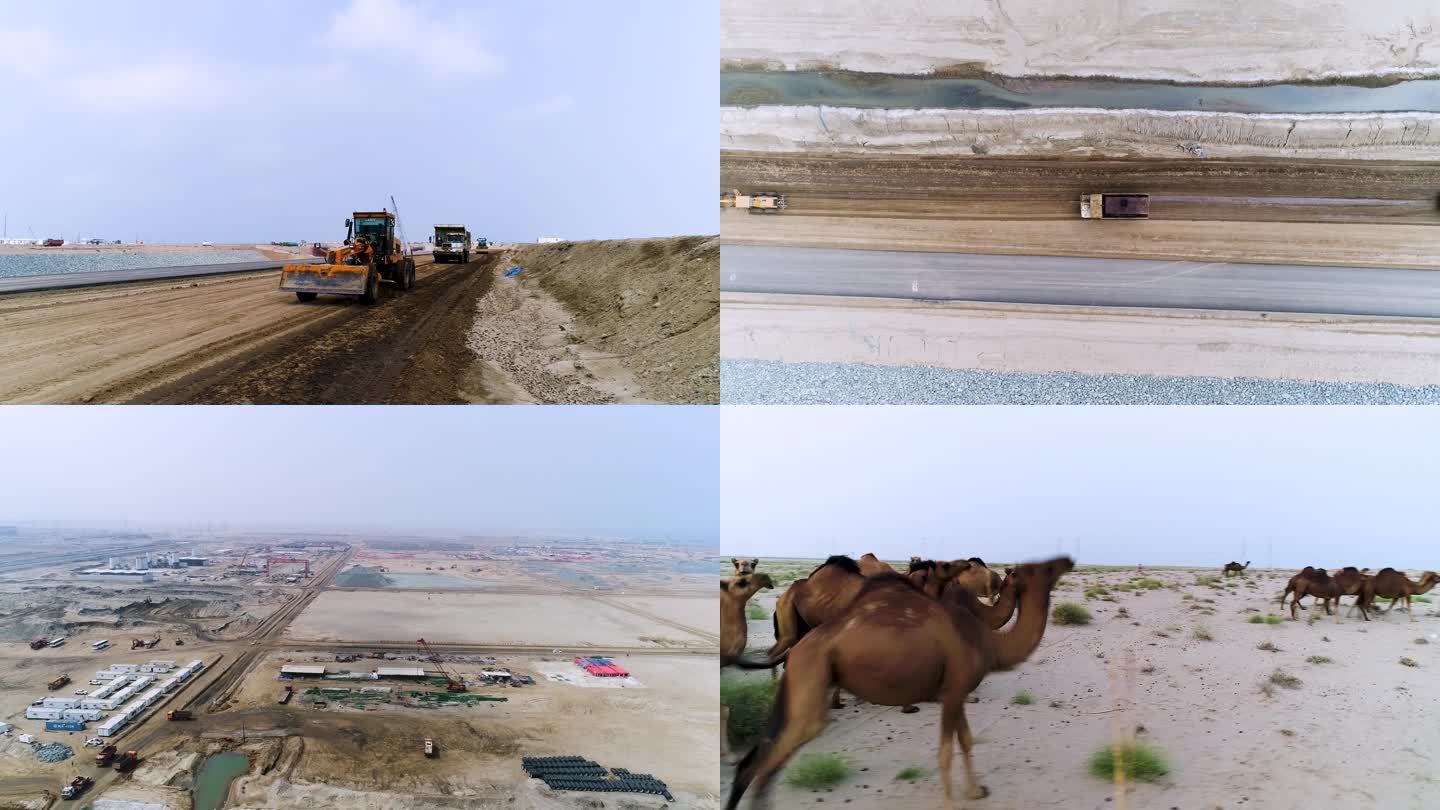 工业基地 修建公路 沙漠骆驼