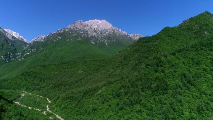 航拍绿色的大山、溪流、茂密的植被