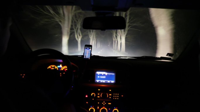 晚上开车穿过树林的汽车后座内景
