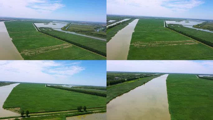 空地 生态公园 草地 航拍 绿色 种植