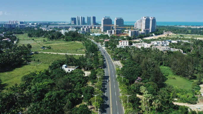 航拍海南博鳌的椰林城市道路