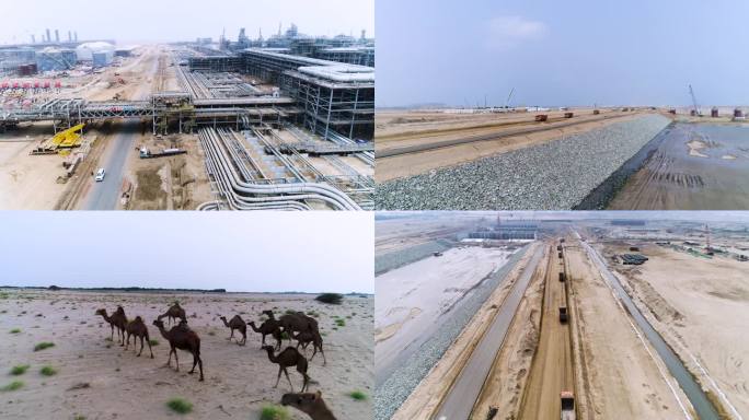 工业基地 修建公路 沙漠骆驼