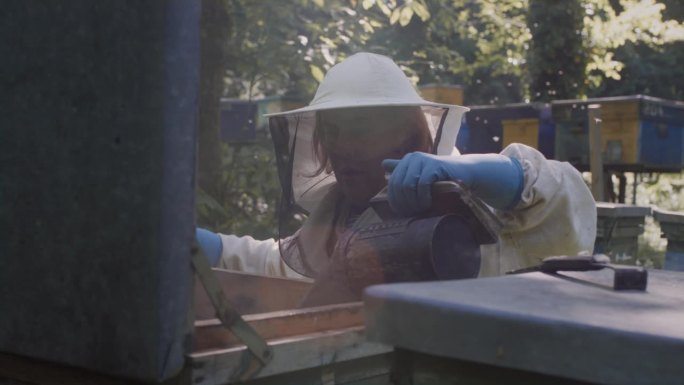 一个女养蜂人在蜂箱上抽烟，用的是烟熏器。雌性养蜂人照顾她的蜂房、蜂房和蜂后。养蜂场的农业综合企业