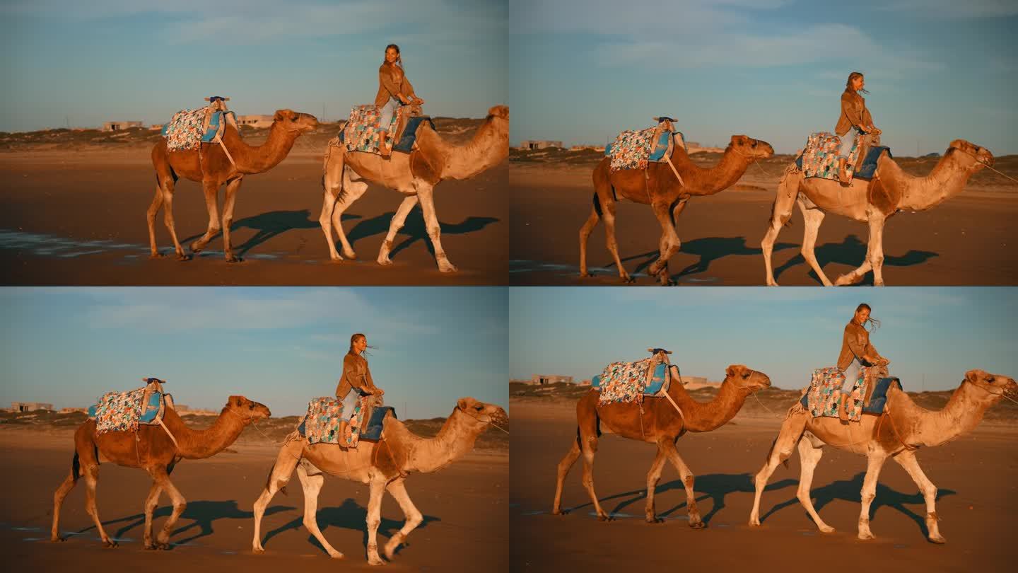 女游客在沙滩上骑骆驼玩得很开心