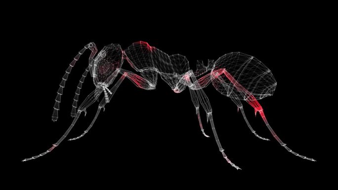 病毒通过黑色背景的三维昆虫体传播。由动物和昆虫传播的传染病。病毒在体内的可视化演示。医学概念。60 