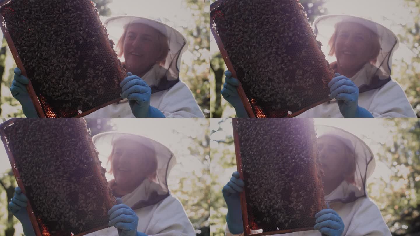 一位女养蜂人手里拿着一个蜂架。雌性养蜂人照顾她的蜂房、蜂房和蜂后。准备收割蜂蜜了。