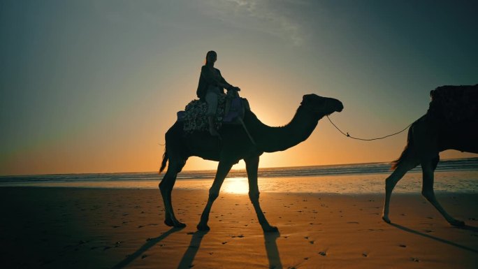 女游客沿着海岸线骑骆驼的剪影