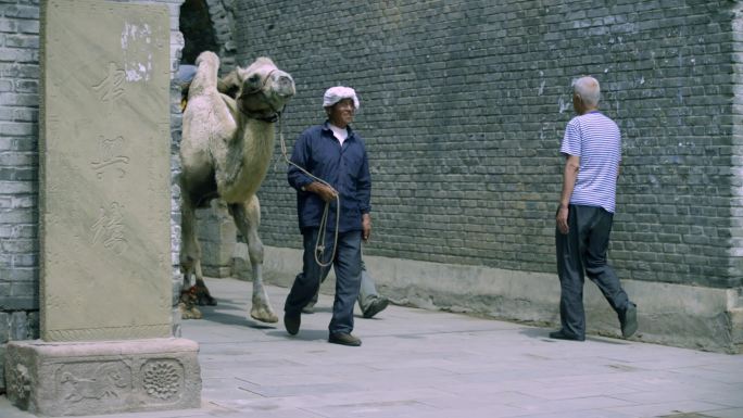 老人牵着骆驼走街串巷