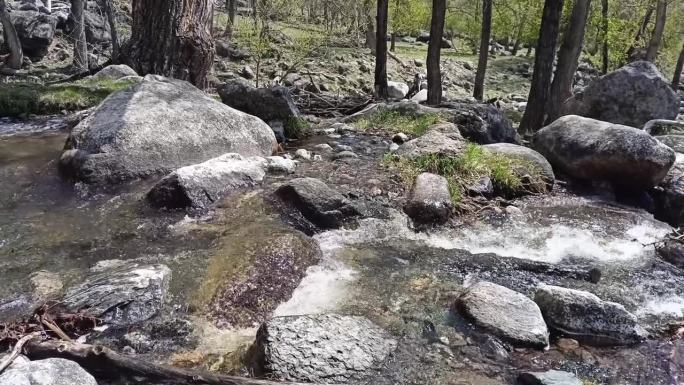 一条小溪在狂风暴雨中从山上流下，穿过森林，绕过河道里的石头。