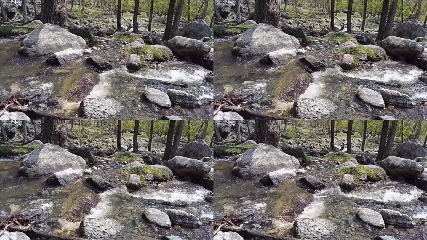 一条小溪在狂风暴雨中从山上流下，穿过森林，绕过河道里的石头。
